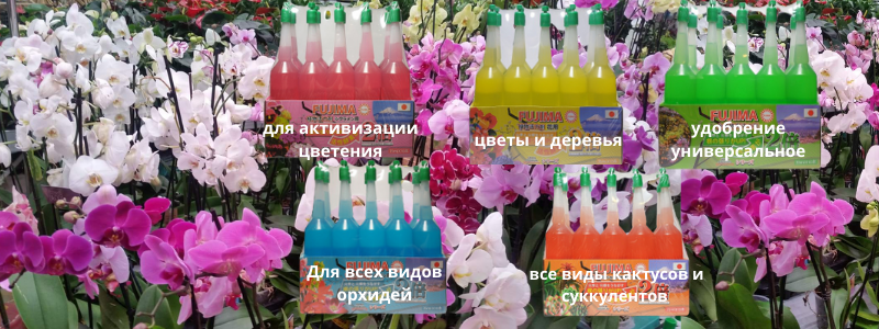 ЧУДО удобрения! Для рассады и комнатных растений!