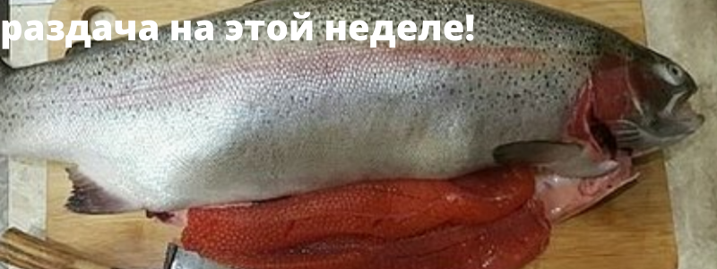 Форель,карп, осетр без заморозки! Раздача на этой неделе!