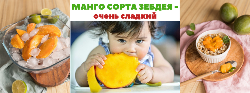 Самое сладкое Манго из Египта! Элитный сорт