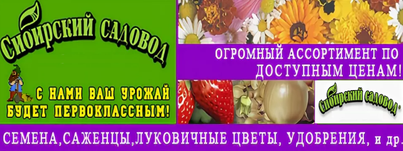 Сибирский садовод-гипермаркет семян. Без рядов